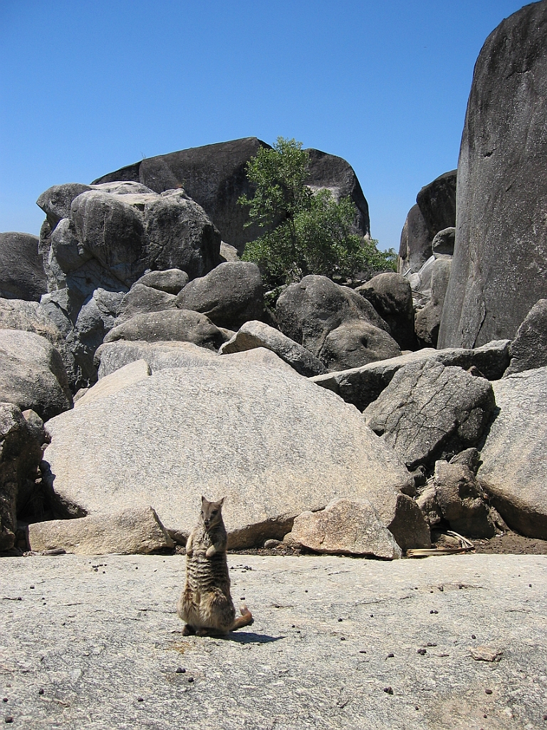 105 Granite gorge.jpg